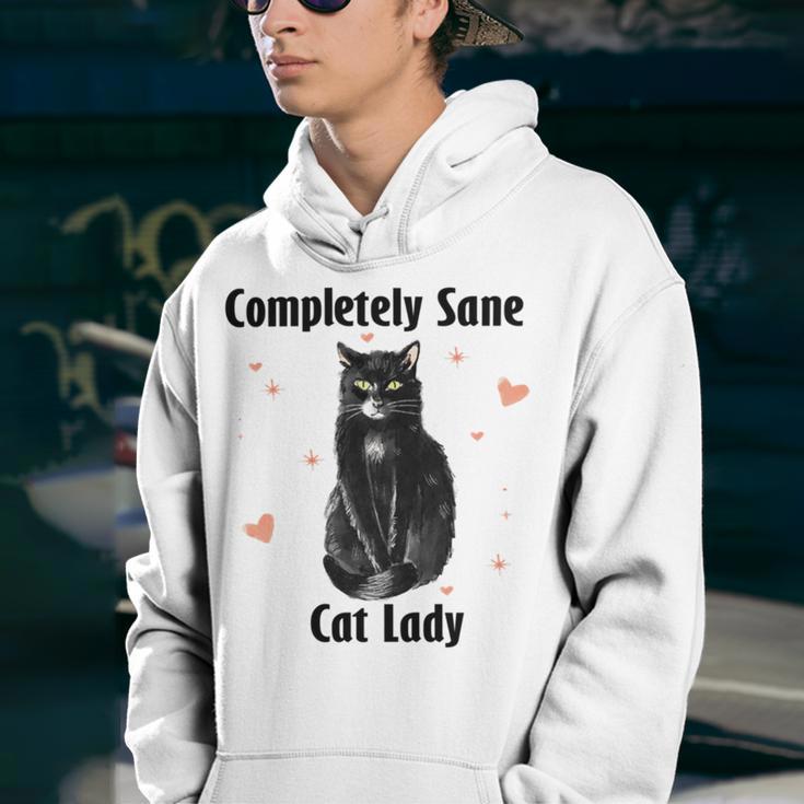 Completely Sane Cat Lady Cat Lover Cute Kitty Youth Hoodie