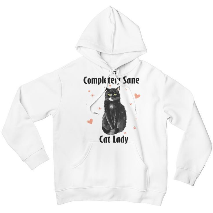 Completely Sane Cat Lady Cat Lover Cute Kitty Youth Hoodie