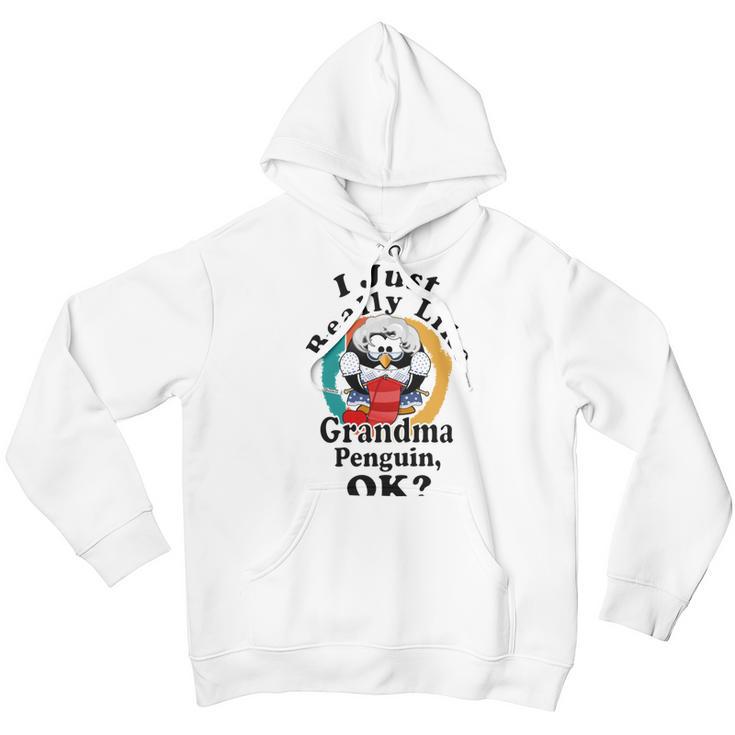 I Really Like Grandma Penguin Ok Youth Hoodie