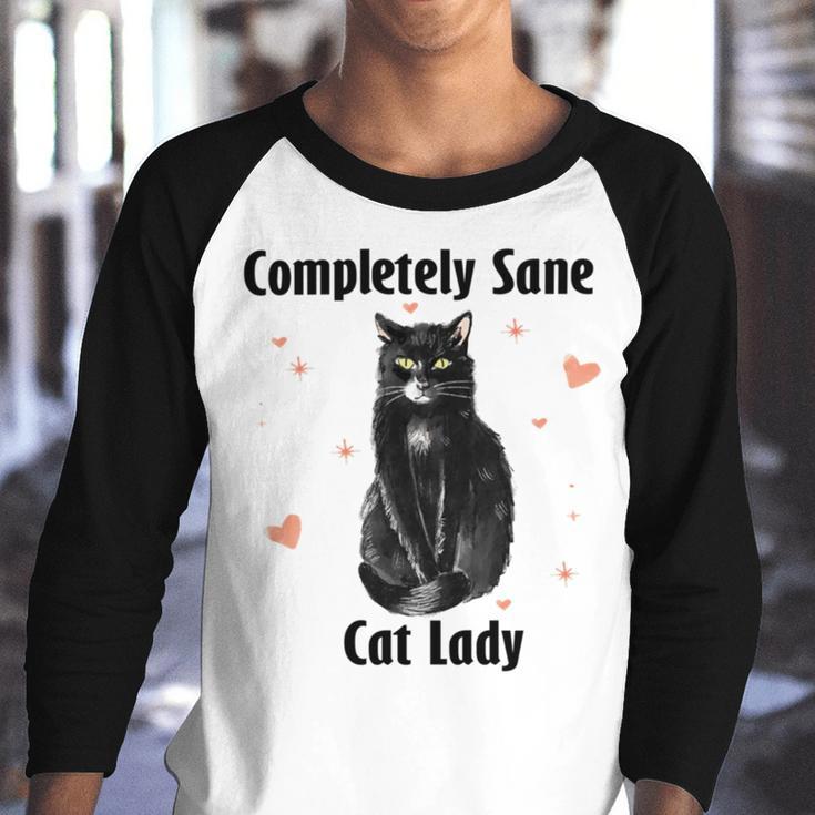 Completely Sane Cat Lady Cat Lover Cute Kitty Youth Raglan Shirt