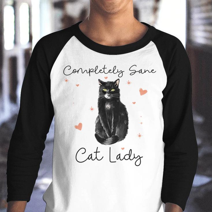 Completely Sane Cat Lady Cat Lover Youth Raglan Shirt