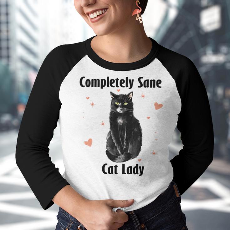 Completely Sane Cat Lady Cat Lover Cute Kitty Youth Raglan Shirt