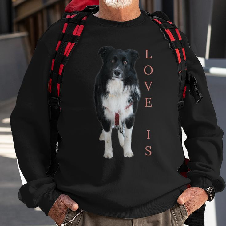 Border Collie Women Men Kids Love Dog Mom Dad Pet Sweatshirt Gifts for Old Men