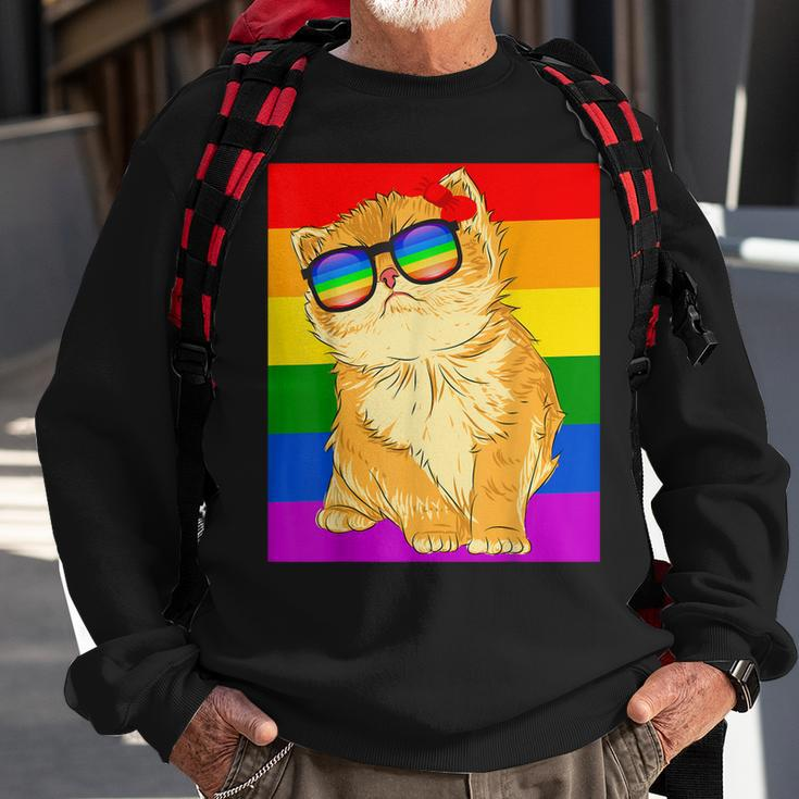 Funny Cat Lgbt Gay Rainbow Pride Flag Boys Men Girls Women Sweatshirt Gifts for Old Men