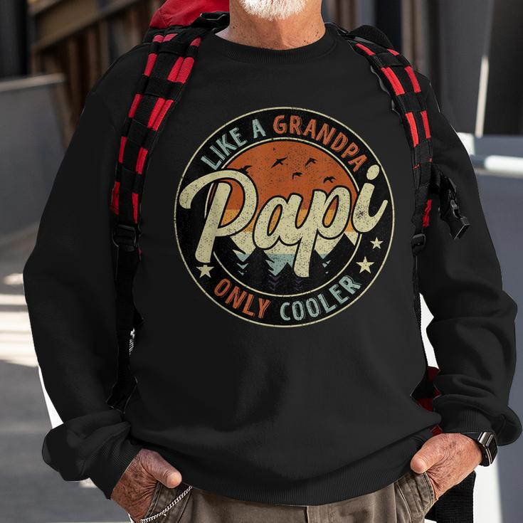 Papi Like A Grandpa Only Cooler Vintage Retro Fathers Day Sweatshirt Gifts for Old Men