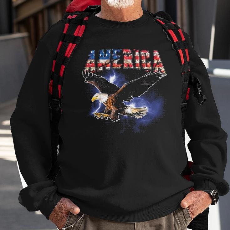 Usa Flag America Font Eagle Flashes For Men And Women Sweatshirt Gifts for Old Men