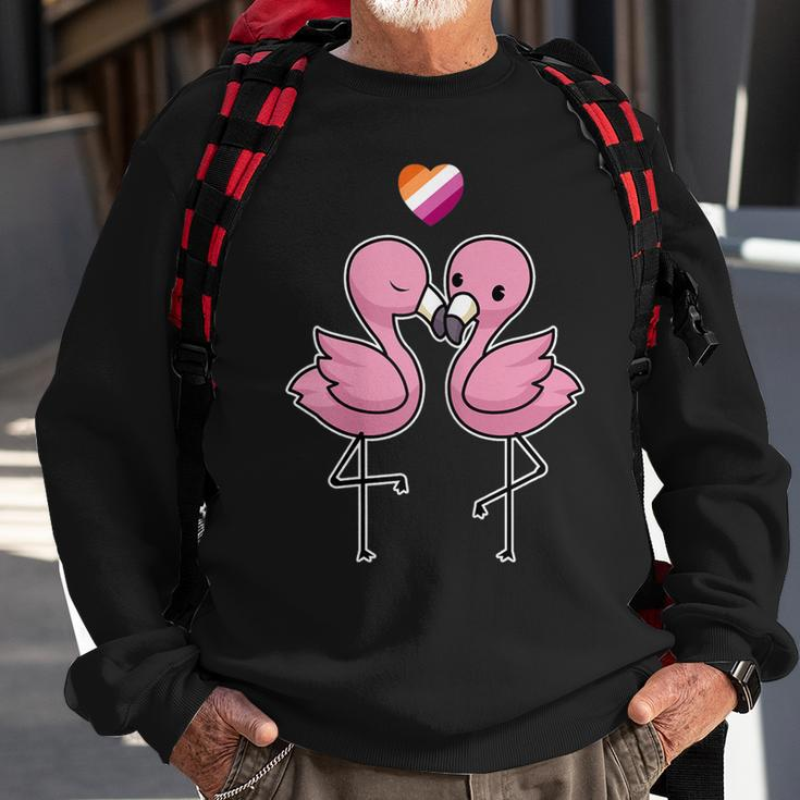Womens Lesbian Flamingo Lgbt Lesbian Sweatshirt Gifts for Old Men