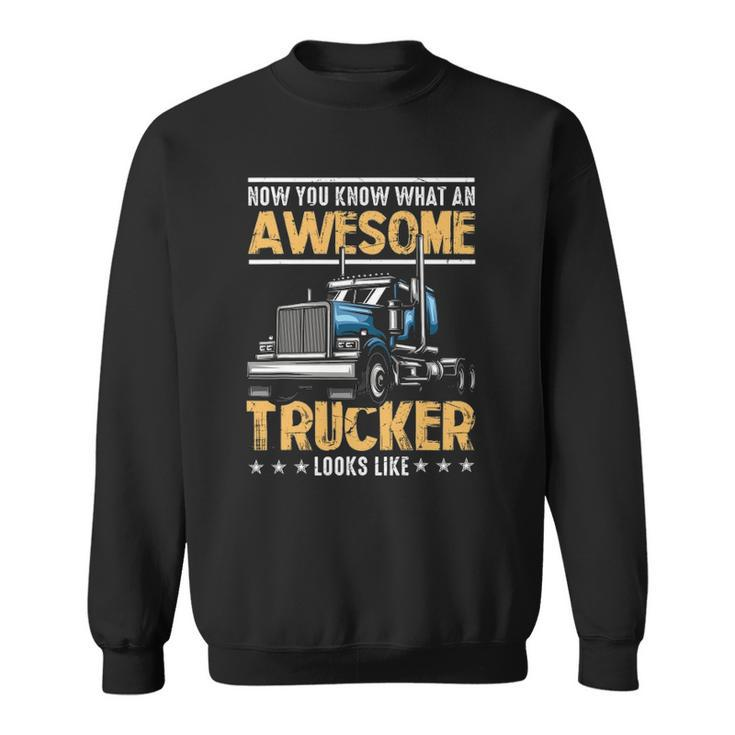 Awesome Trucker Semi Truck Driver 18 Wheeler Mechanic Funny Sweatshirt