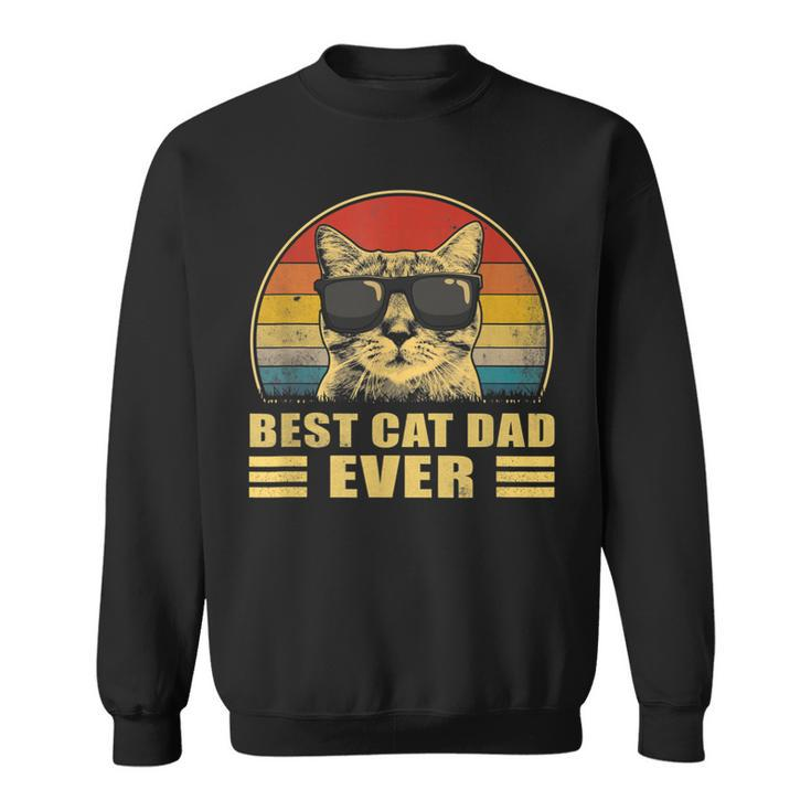 Best Cat Dad Ever Bump Fit Fathers Day Gift Daddy For Men  Sweatshirt