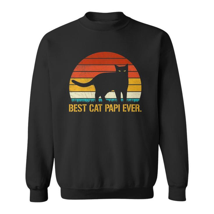 Best Cat Papi Ever Vintage Retro Cat Lover Xmas Fathers Day Sweatshirt