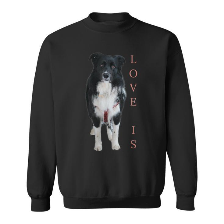 Border Collie Women Men Kids Love Dog Mom Dad Pet Sweatshirt