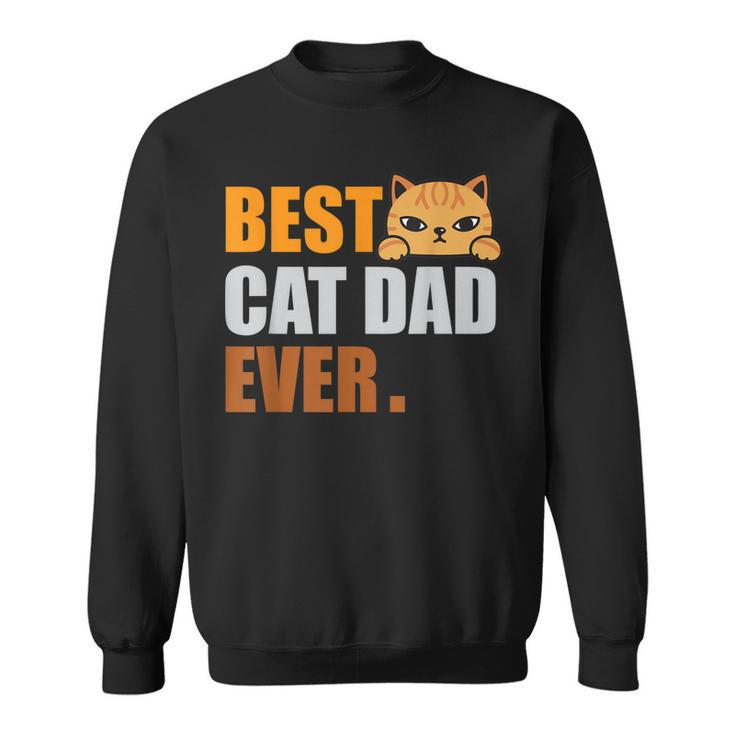 Cat Dad  Fathers Day Men Kitty Daddy Papa Christmas  V3 Sweatshirt