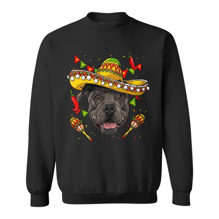 Cinco De Mayo Pit Bull Men Women Kids Sombrero T-Shirt Sweatshirt