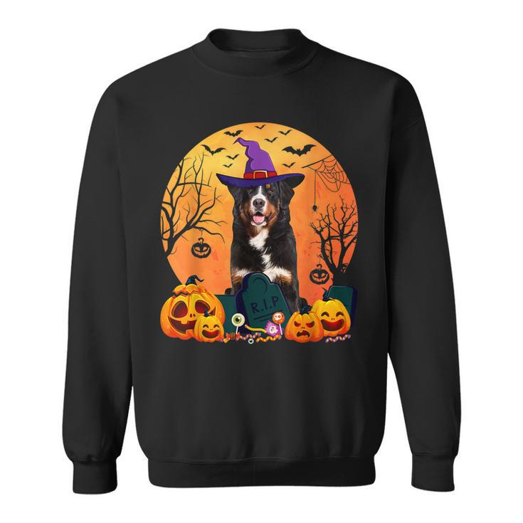 Cute Bernese Mountain Halloween Costume Funny Dog Lover  Sweatshirt