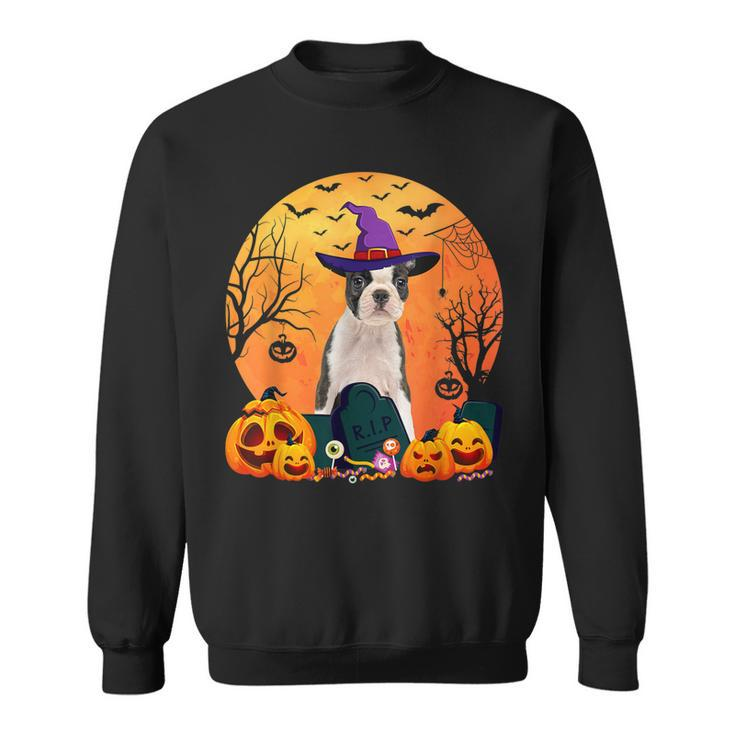 Cute Boston Terrier Halloween Costume Funny Dog Lover  Sweatshirt