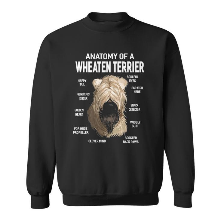 Dogs 365 Anatomy Of A Soft Coated Wheaten Terrier Dog Sweatshirt