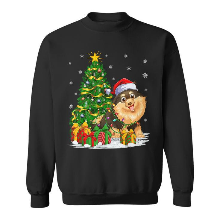 Funny Xmas Tree Family Matching Santa Pomeranian Christmas T-Shirt Sweatshirt