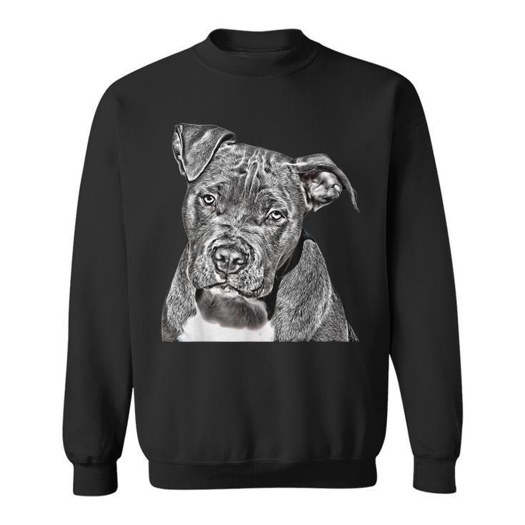 Graphic Novel For Dog Mom And Dog Dad Pit Bull Sweatshirt