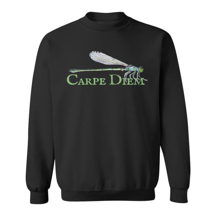 Green Dragonfly - Carpe Diem - Double Sided Sweatshirt