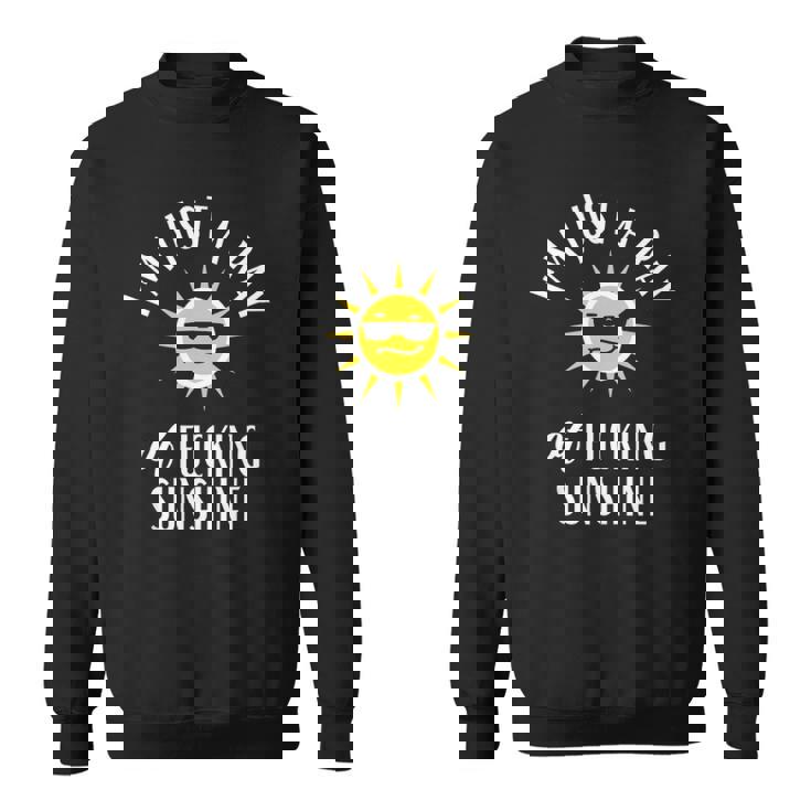 Im Just A Ray Of Fucking Sunshine Funny Sarcastic Sweatshirt