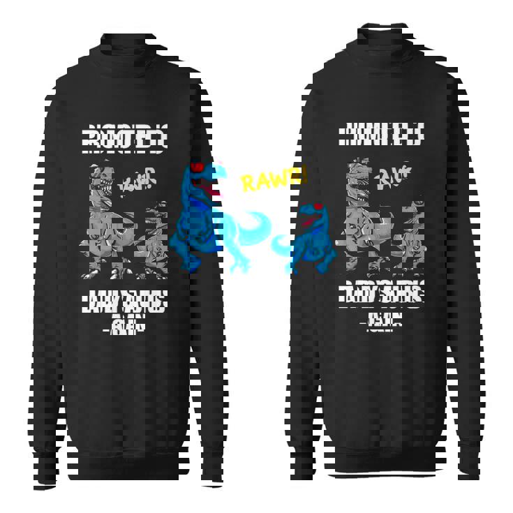 Promoted To Dad Again 2022 Trex Daddy Again Est 2022 Ver2 Sweatshirt