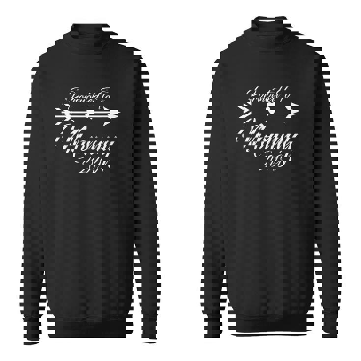 Promoted To Mommy 2022 Heart Arrow Sweatshirt