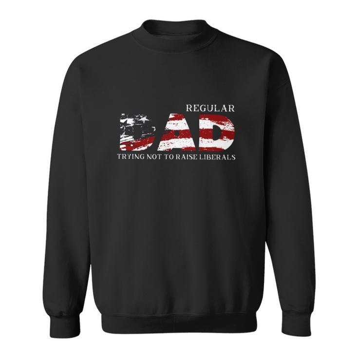 Regular Dad Trying Not To Raise Liberals American Flag Fathers Day Sweatshirt