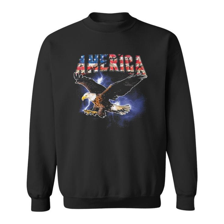 Usa Flag America Font Eagle Flashes For Men And Women Sweatshirt