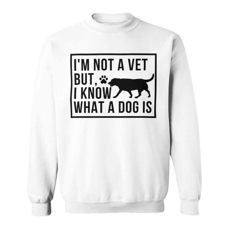 Im Not A Vet But I Know What A Dog Is Transgender Gift Sweatshirt