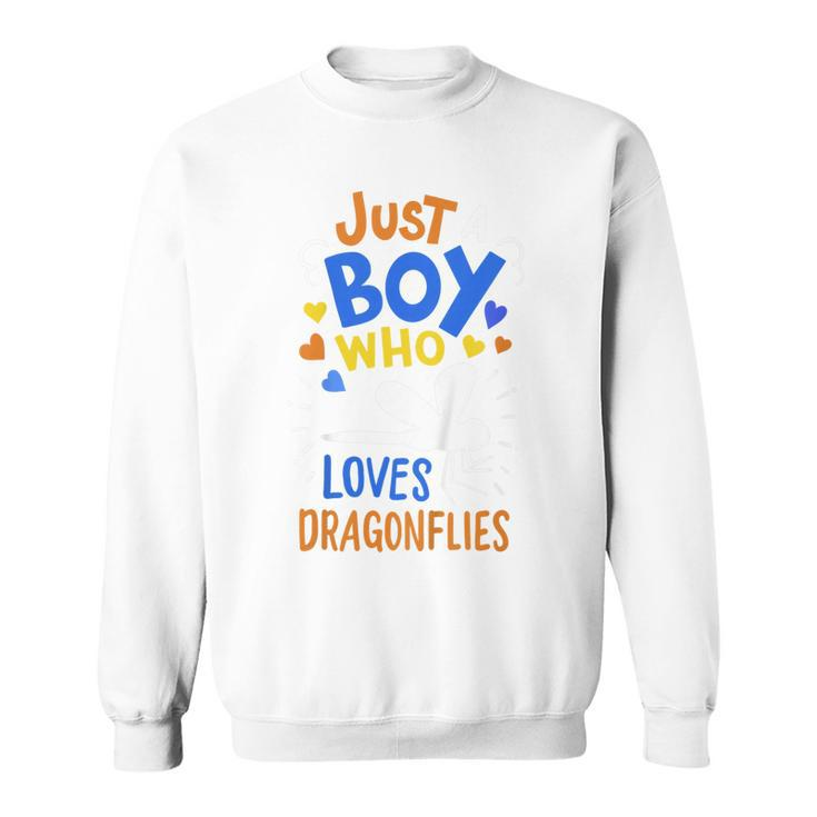 Kids Dragonfly Just A Boy Who Loves Dragonflies Gift  Sweatshirt