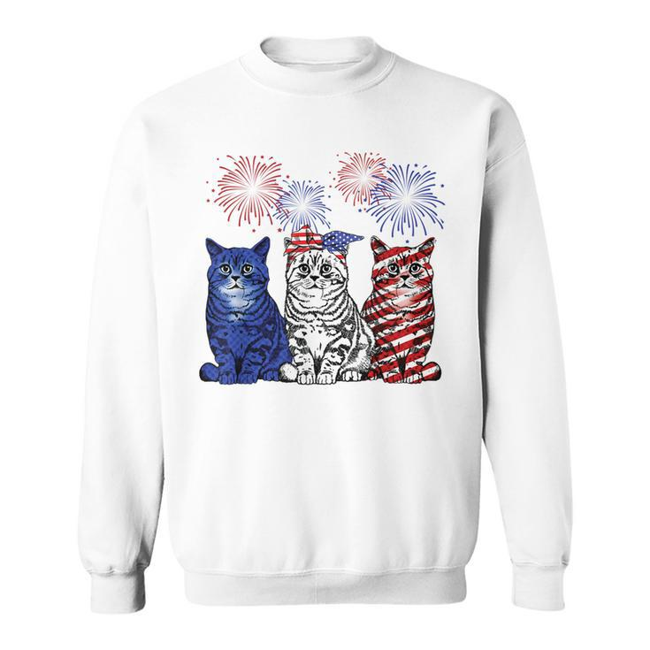 Red White Blue Cats Usa Flag Fireworks 4Th Of July Patriotic  Sweatshirt