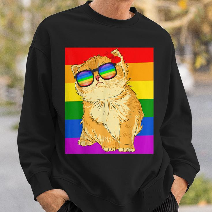 Funny Cat Lgbt Gay Rainbow Pride Flag Boys Men Girls Women Sweatshirt Gifts for Him