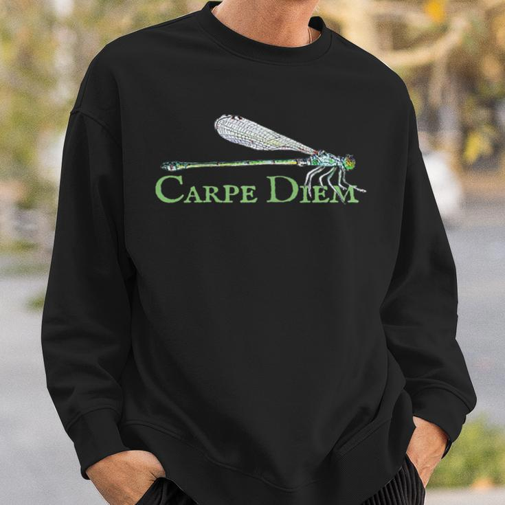 Green Dragonfly - Carpe Diem - Double Sided Sweatshirt Gifts for Him