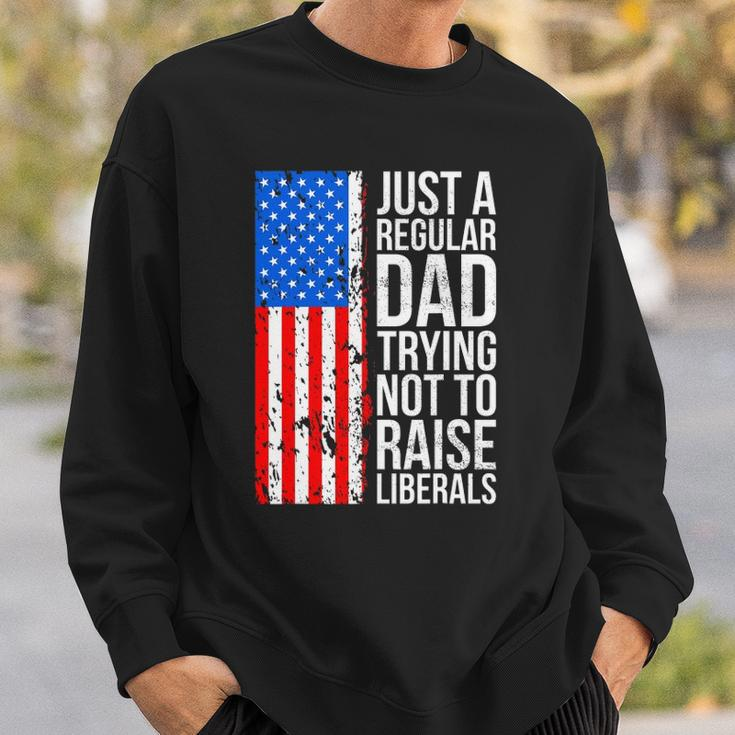 Mens Anti Liberal Just A Regular Dad Trying Not To Raise Liberals Sweatshirt Gifts for Him
