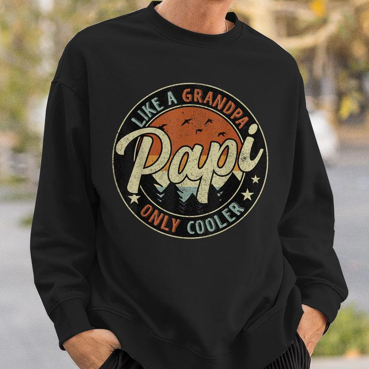 Papi Like A Grandpa Only Cooler Vintage Retro Fathers Day Sweatshirt Gifts for Him