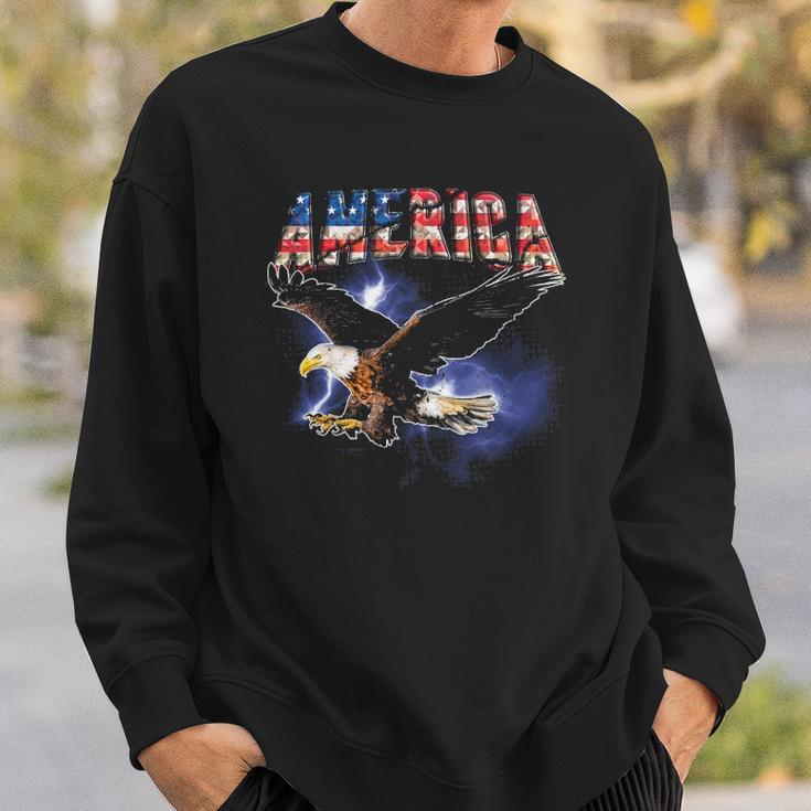Usa Flag America Font Eagle Flashes For Men And Women Sweatshirt Gifts for Him