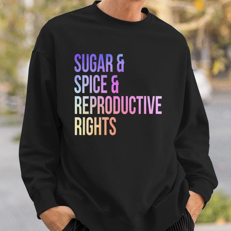 Womens Sugar Spice Reproductive Rights For Women Feminist Sweatshirt Gifts for Him