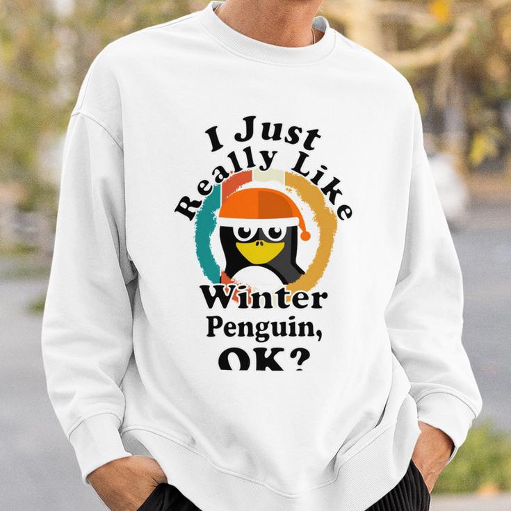 I Really Like Winter Penguin Ok Sweatshirt Gifts for Him