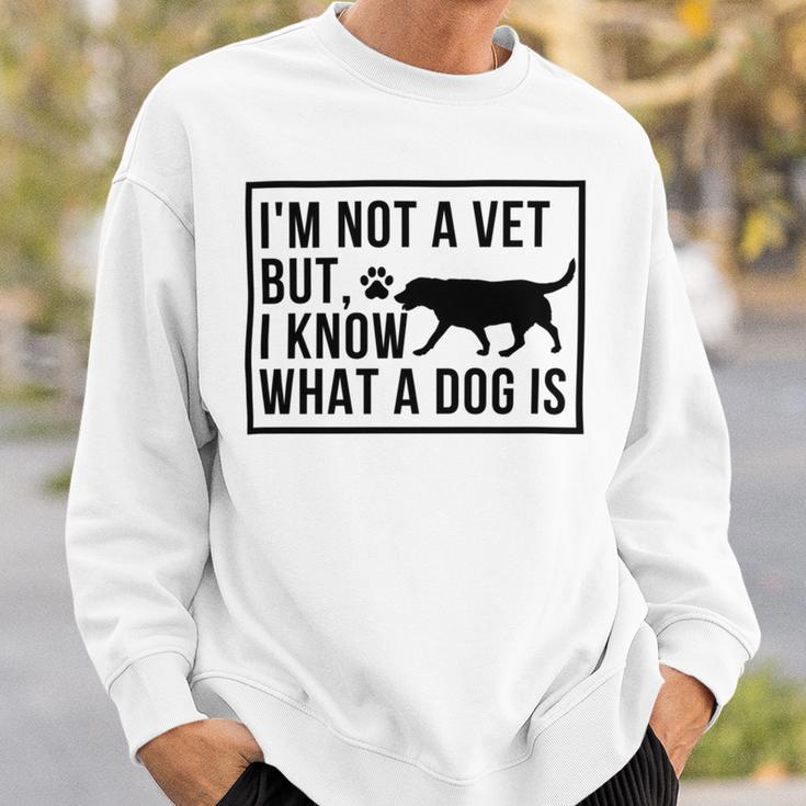 Im Not A Vet But I Know What A Dog Is Transgender Gift Sweatshirt Gifts for Him