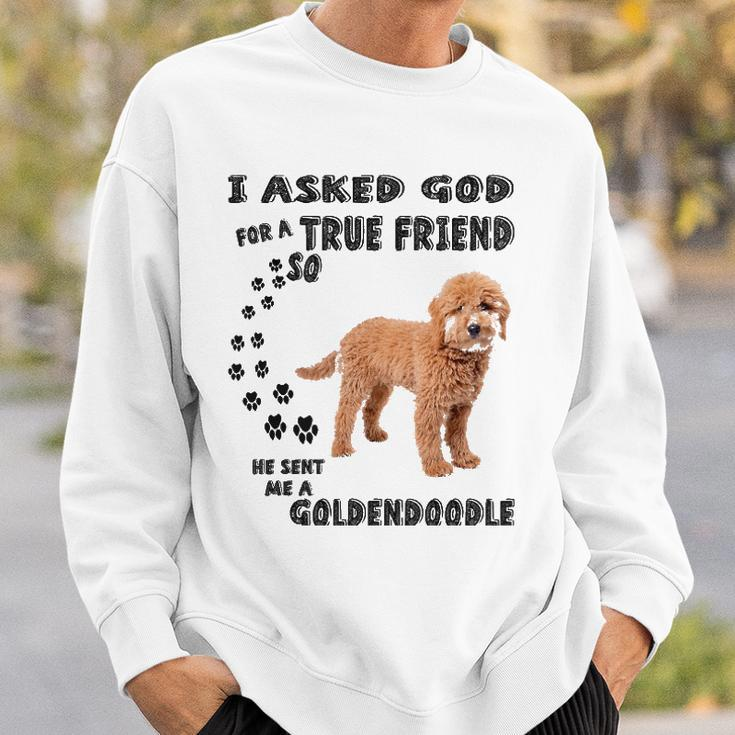 Mini Goldendoodle Quote Mom Doodle Dad Art Cute Groodle Dog Sweatshirt Gifts for Him