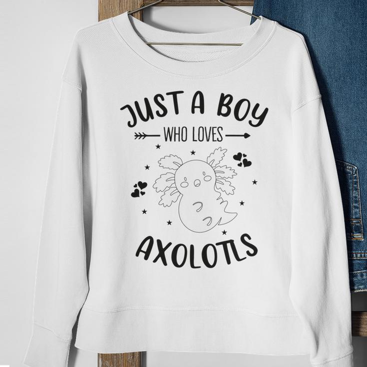 Funny Axolotl Quote Mexican Walking Fish Just A Boy Who Loves Axolotls Sweatshirt Gifts for Old Women