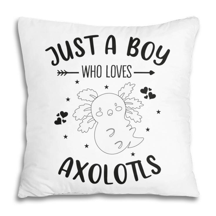 Funny Axolotl Quote Mexican Walking Fish Just A Boy Who Loves Axolotls Pillow