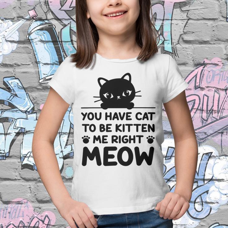 Cute Cat Lover Youve Got To Be Kitten Me Youth T-shirt