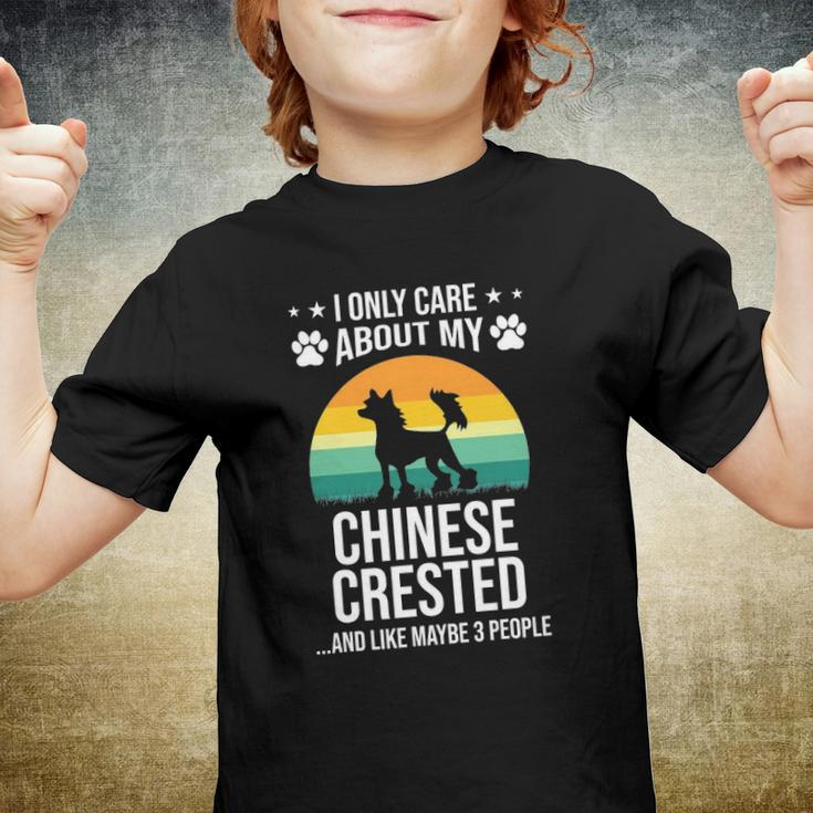 I Only Care About My Chinese Crested Dog Lover Youth T-shirt
