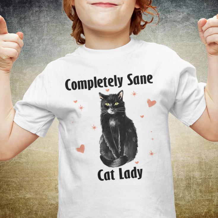 Completely Sane Cat Lady Cat Lover Cute Kitty Youth T-shirt