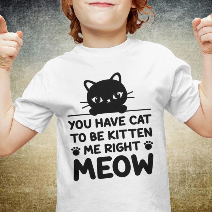 Cute Cat Lover Youve Got To Be Kitten Me Youth T-shirt