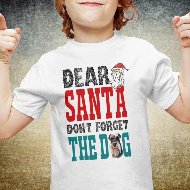 Dear Santa Dont Forget The Dog Youth T-shirt