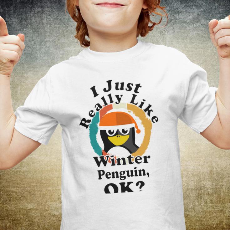 I Really Like Winter Penguin Ok Youth T-shirt