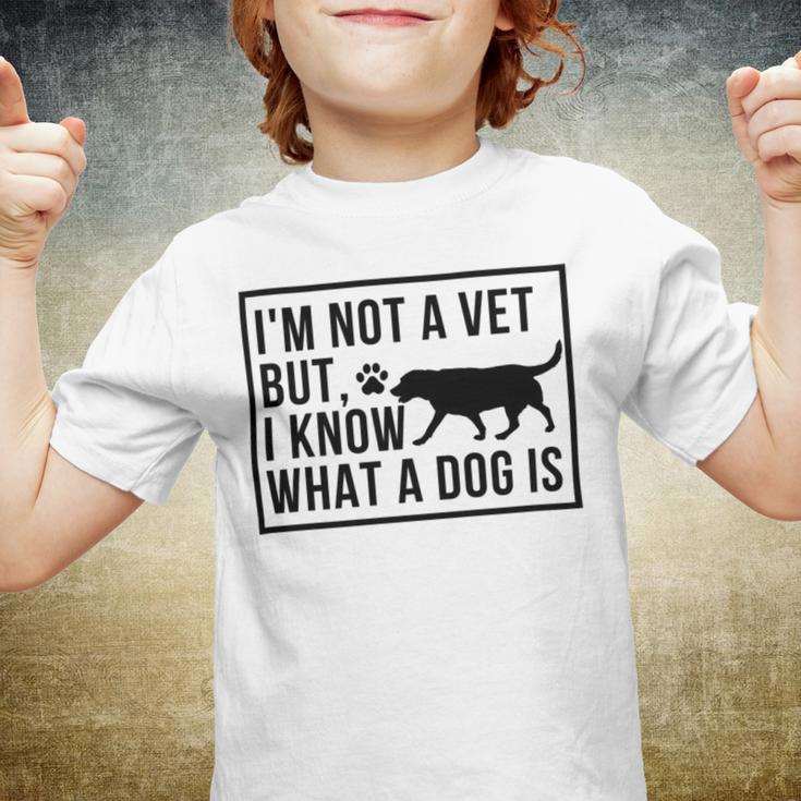 Im Not A Vet But I Know What A Dog Is Transgender Gift Youth T-shirt