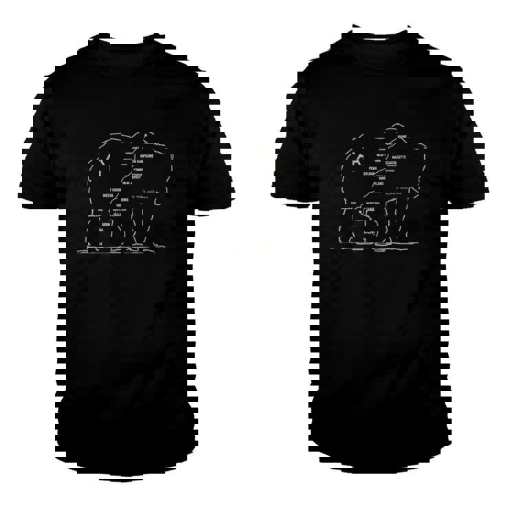 Appalachian Trail Bear Symbol Of Appalachian National Park Youth T-shirt